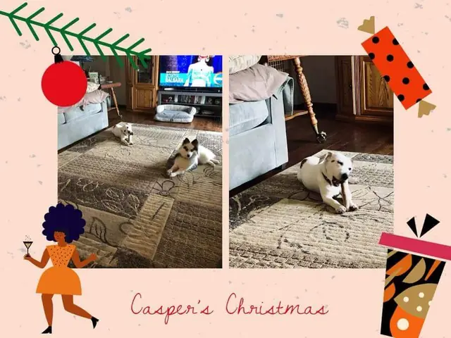 Casper