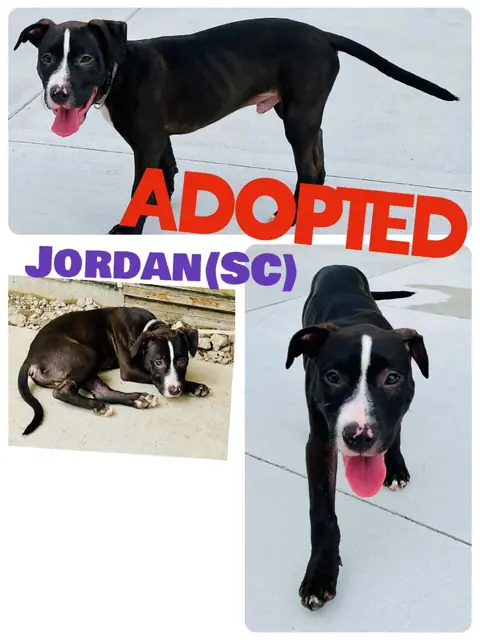 Jordan
