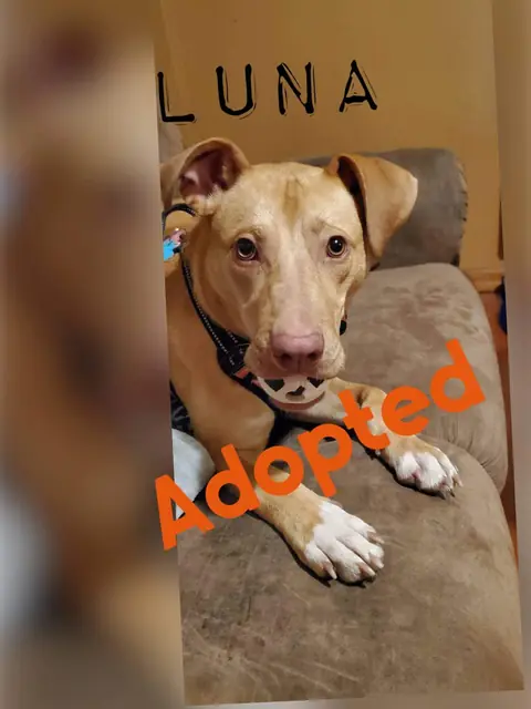 Luna