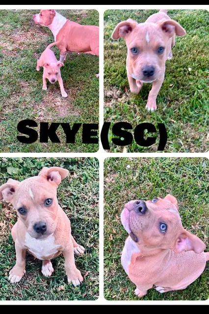 Skye
