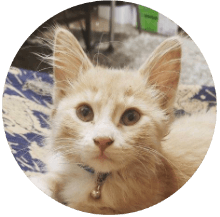 Mr. Marbles