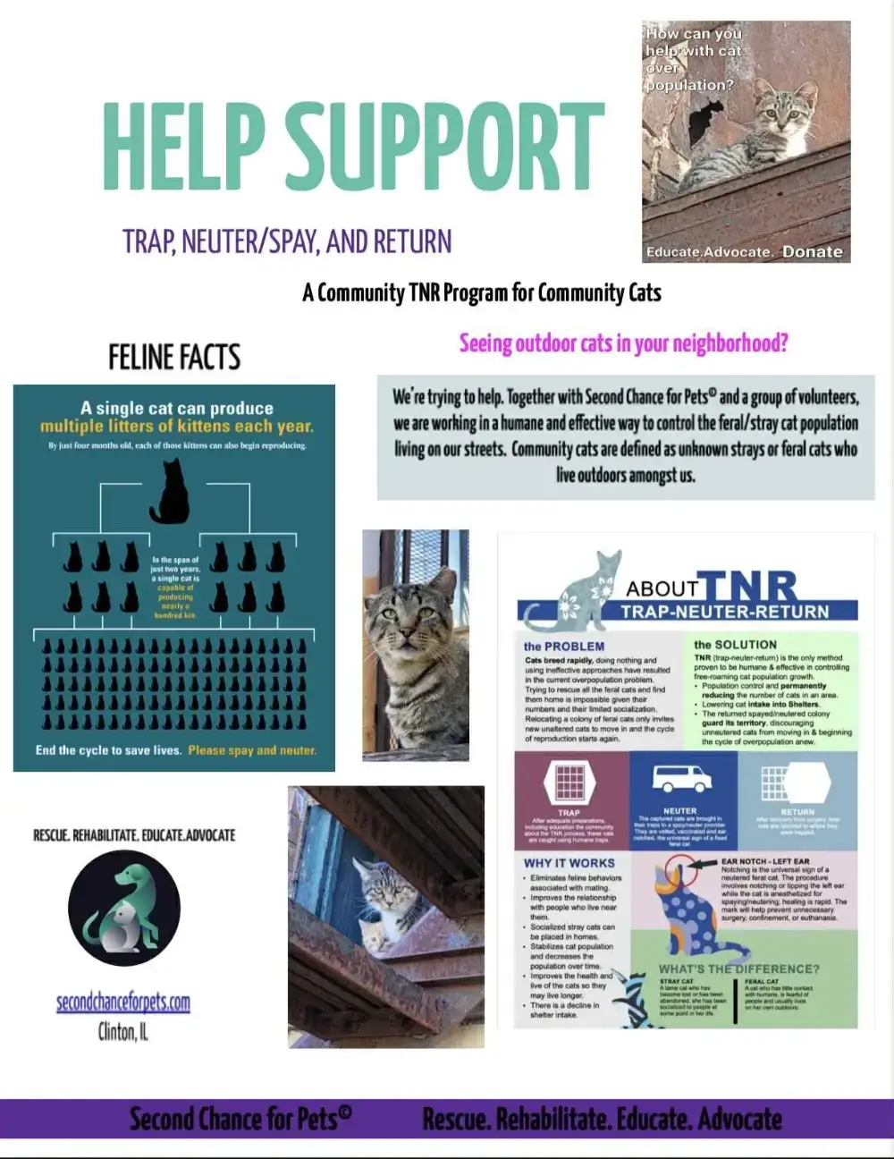 help support trap, neuter, spay, and return. A community TNR program for community cats. Various feline facts.